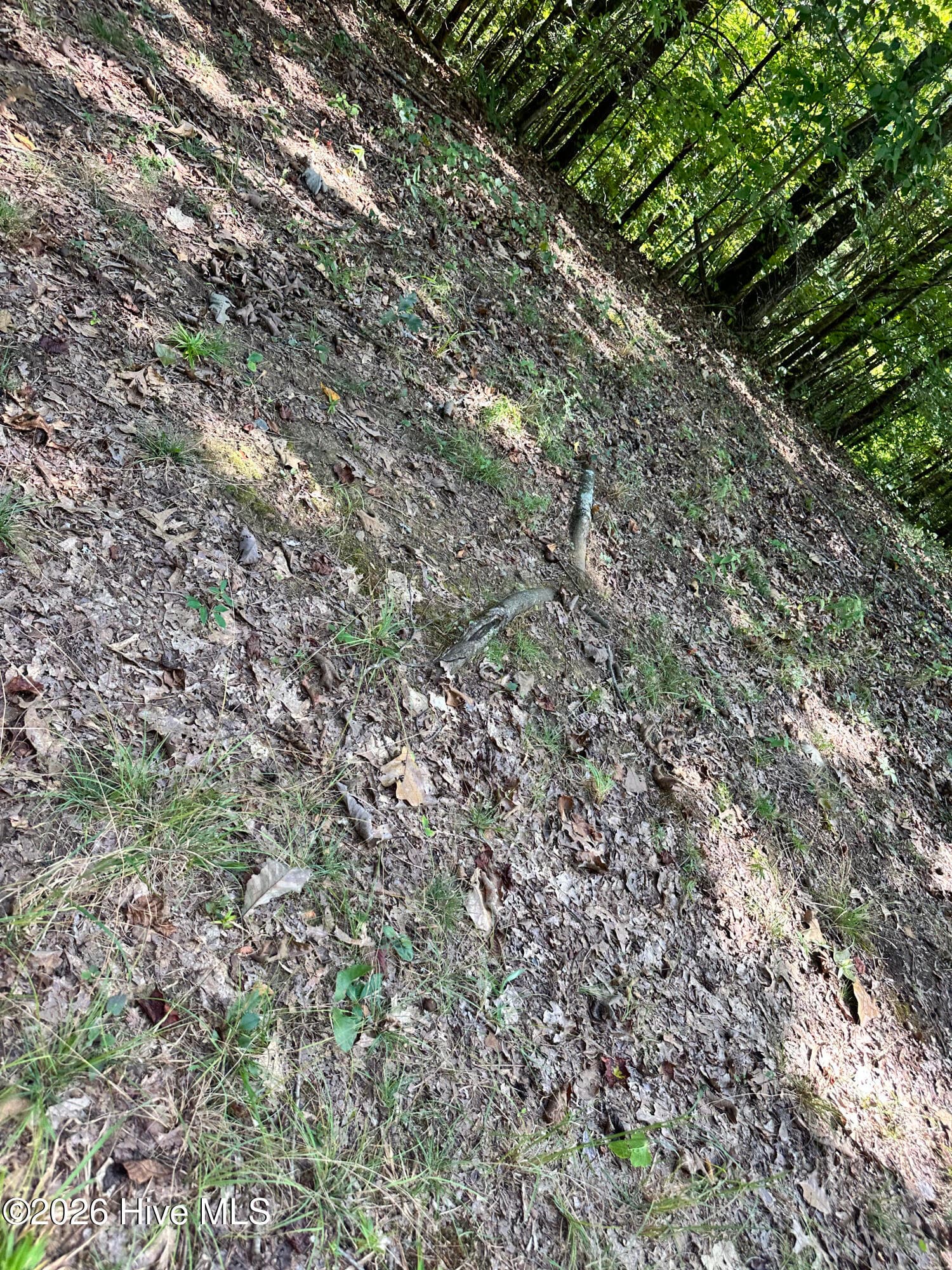 872 T-11, T-12 Majestic Mountain Trail, Murphy, NC 28906