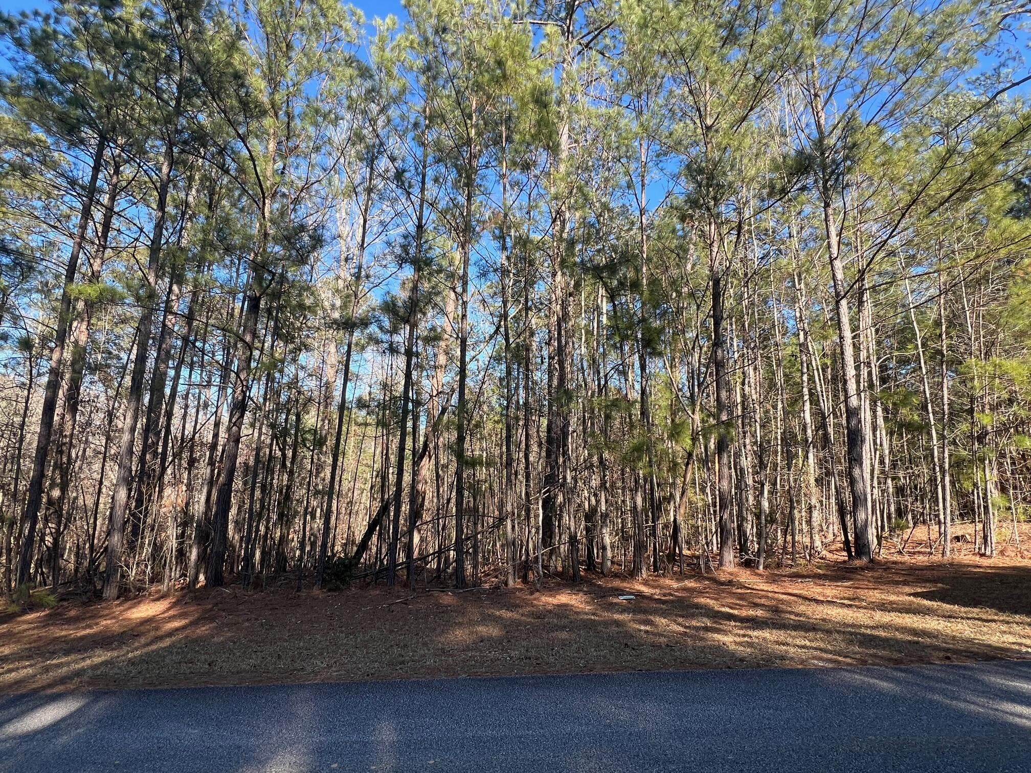 24-17 Madison Dr. Drive, McCormick, SC 29835