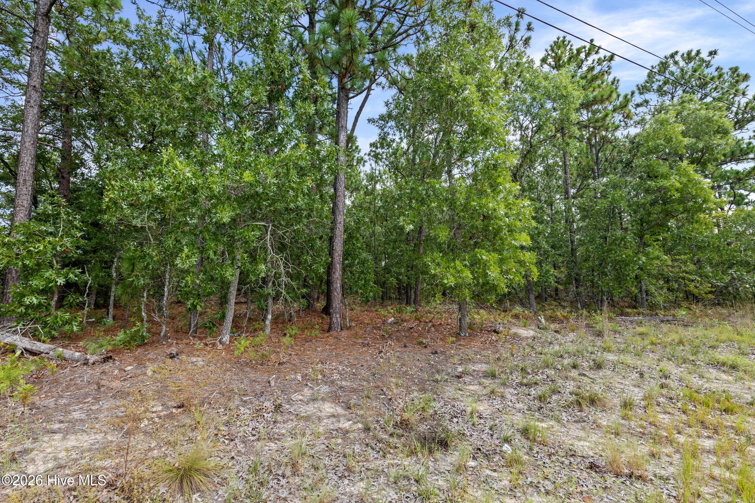 Wooded at 2467 Patiller Road, Hephzibah, GA 30815, photo 13 of 16