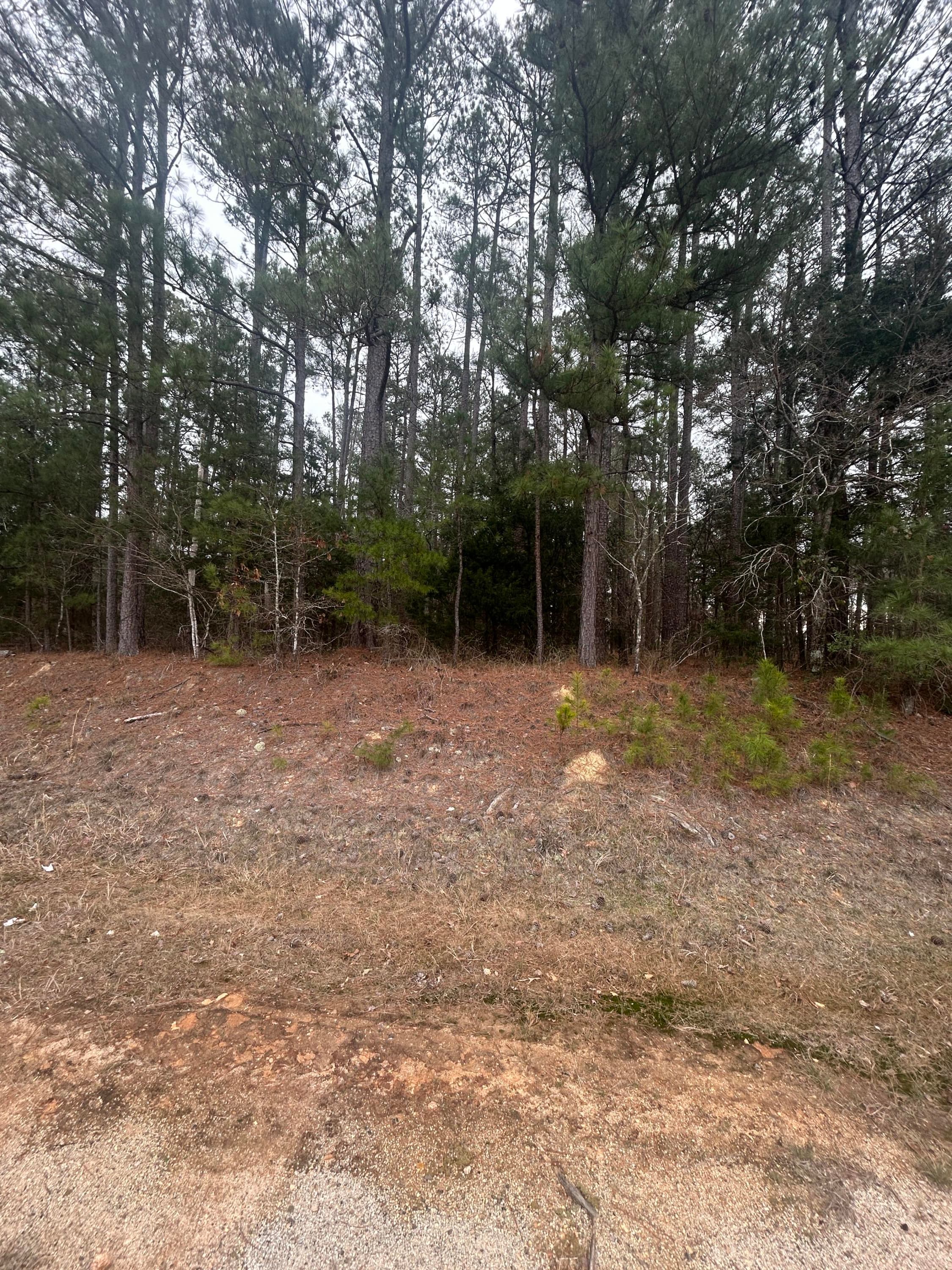 16.9 Ac Hwy 220 E, Lincolnton, GA 30817