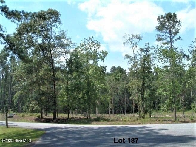 Residential Lot at 607 Pamlico River Drive, Washington, NC 27889, photo 7 of 20