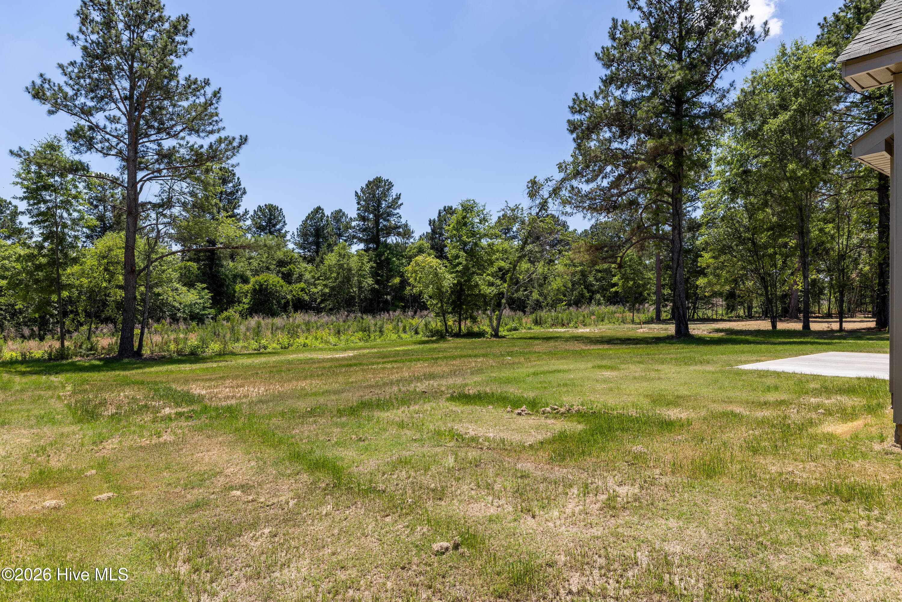 Expansive lot - 1725 Bellingham Drive, Beech Island, SC 29842