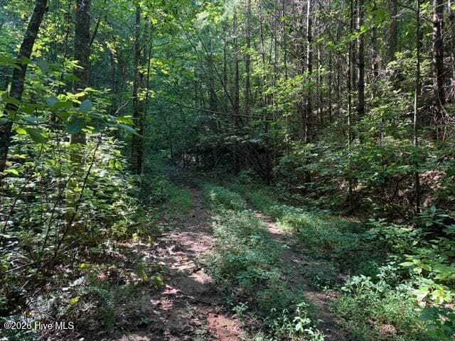Residential Lot at 5 Tyler Lane, Marble, NC 28905, photo 5 of 28
