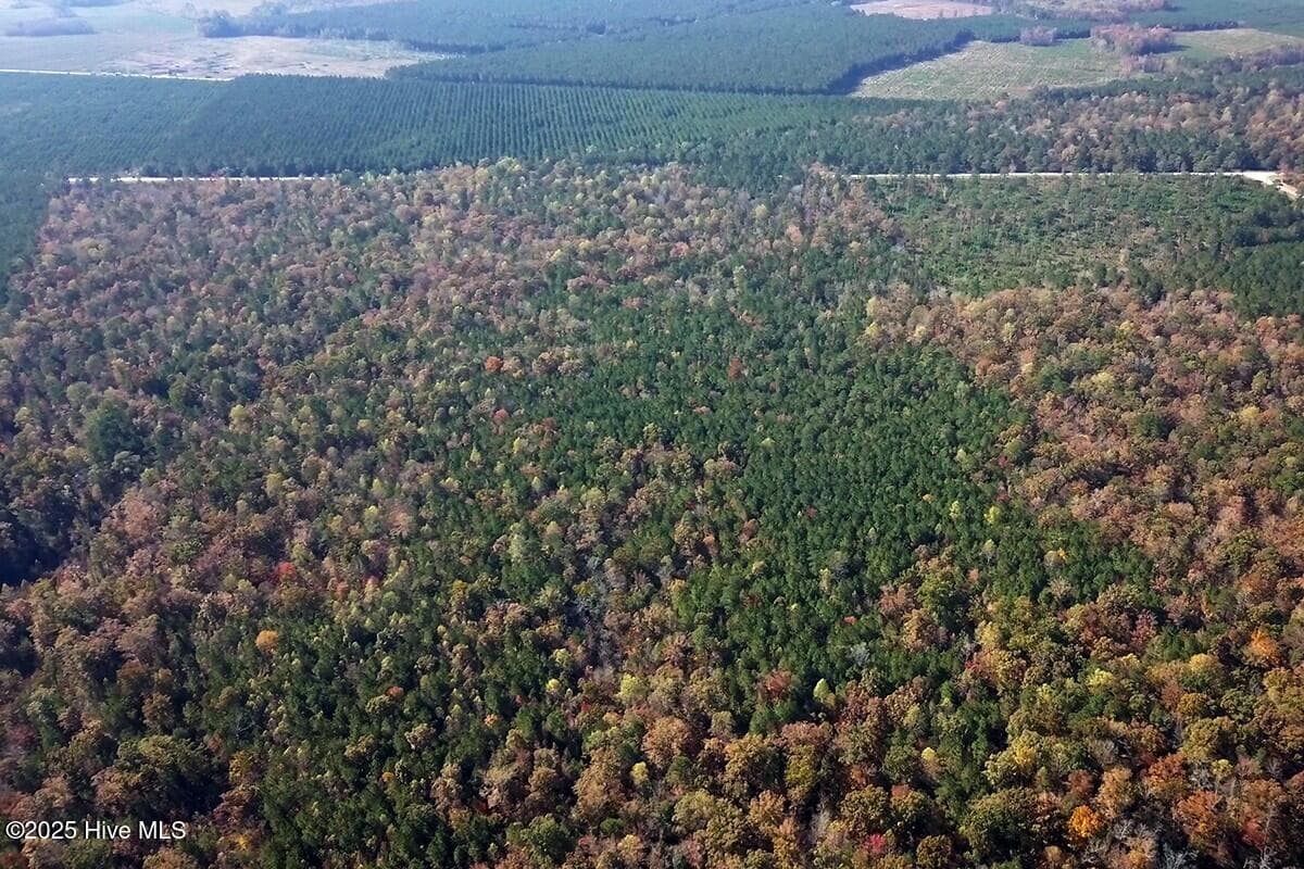 Looking Southeast upon Tracts I, J, K & O, which is the Headwaters of Calf Creek. - Sr #1123 Lots #1 #3, #4, #5 State Rd 1123, Chocowinity, NC 27817