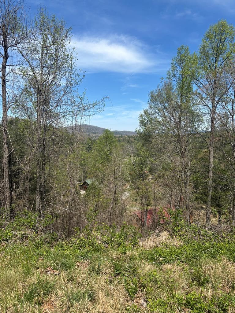 200 34 Carolina Fox Circle, Murphy, NC 28906