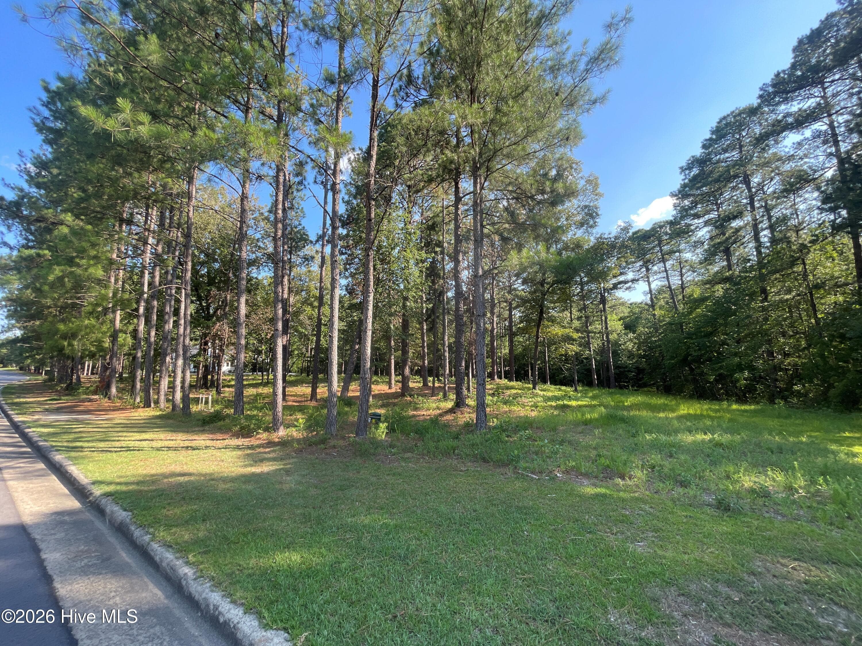 Residential Lot at 231 911R Meyer Farm Drive, Pinehurst, NC 28374, photo 4 of 13