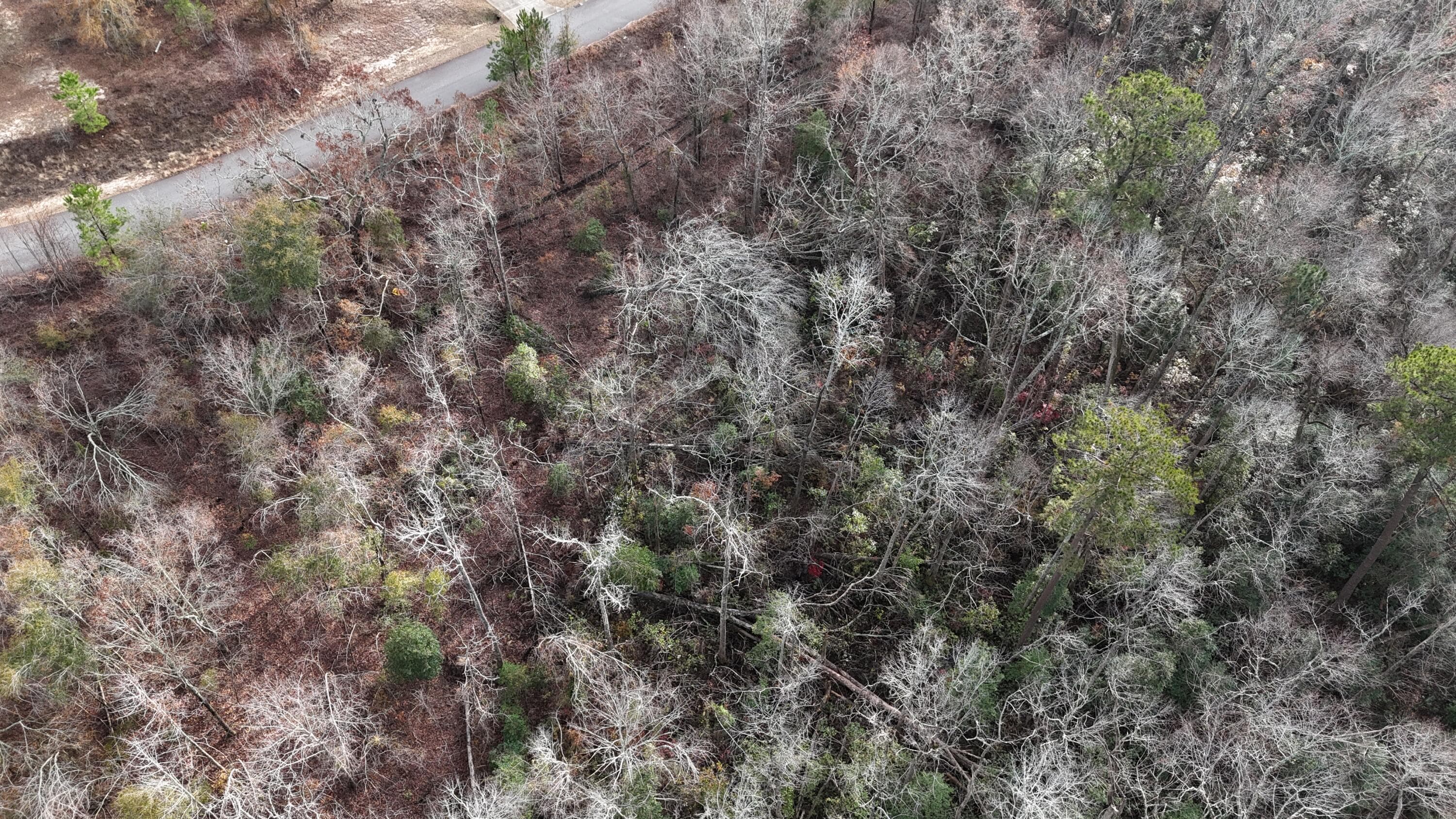 Residential Lot at 2664 New Hope Circle, Hephzibah, GA 30815, photo 6 of 8