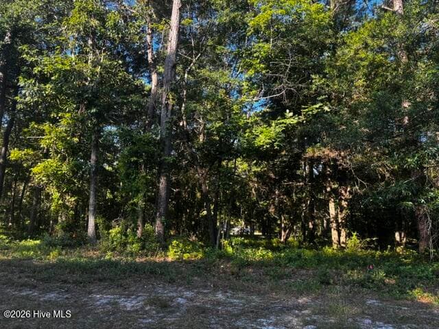 2408 Tract 2 Zion Hill Rd Road SE, Bolivia, NC 28422