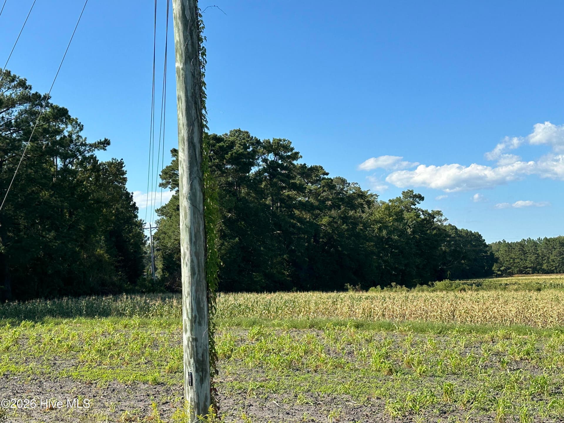 000 Willis Farm Tract-2 Road, Newport, NC 28570