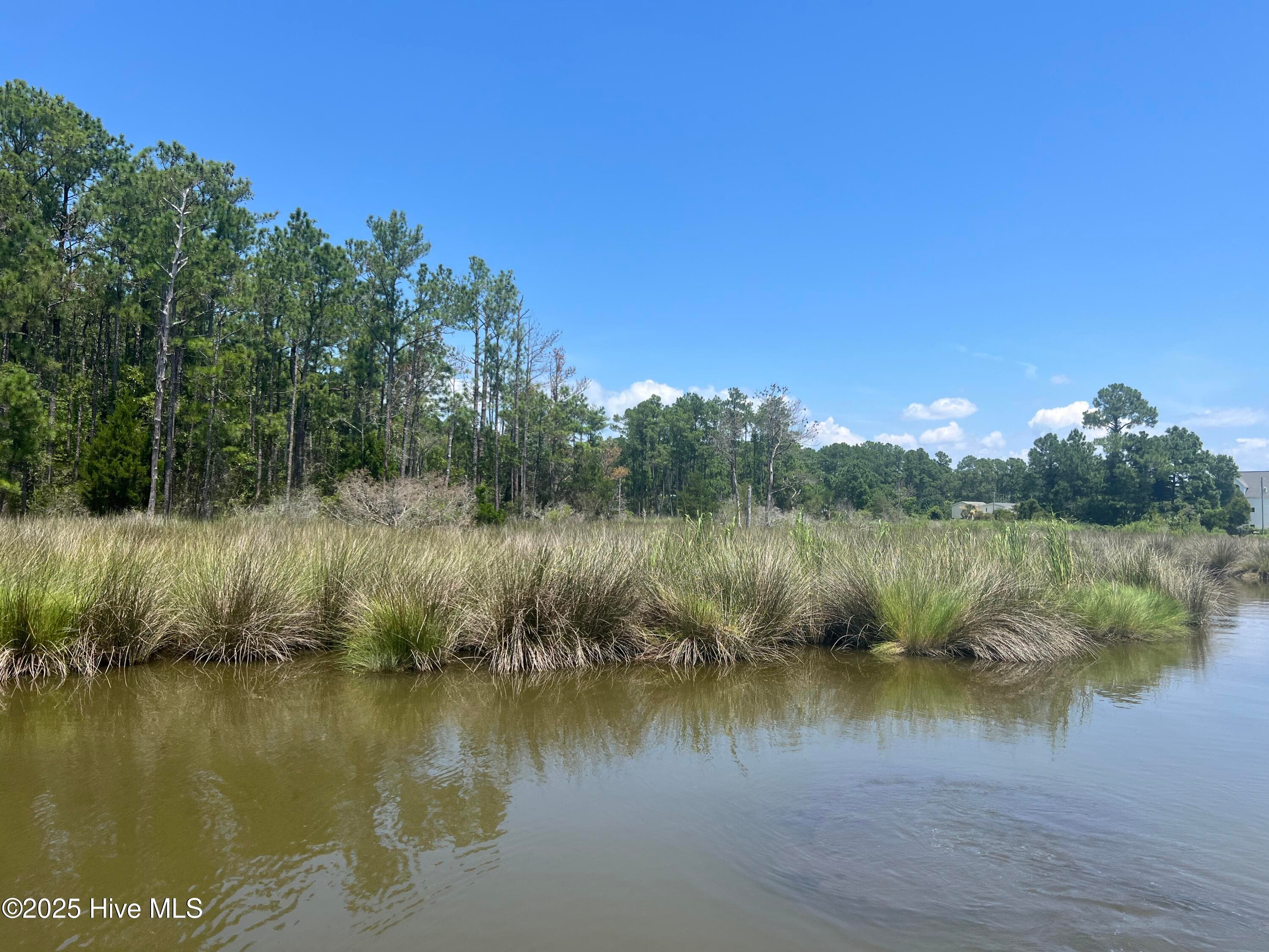 Residential Lot at 9918 Canady Landing Road, Aurora, NC 27806, photo 11 of 12