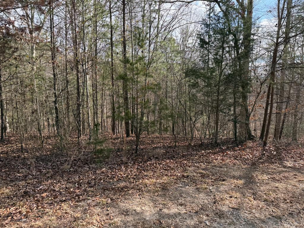 Land at Lot #20 20 Yellow Maple Drive, Murphy, NC 28906, photo 5 of 14