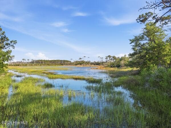 salt marsh - 1926 Snowy Egret Drive, Morehead City, NC 28557