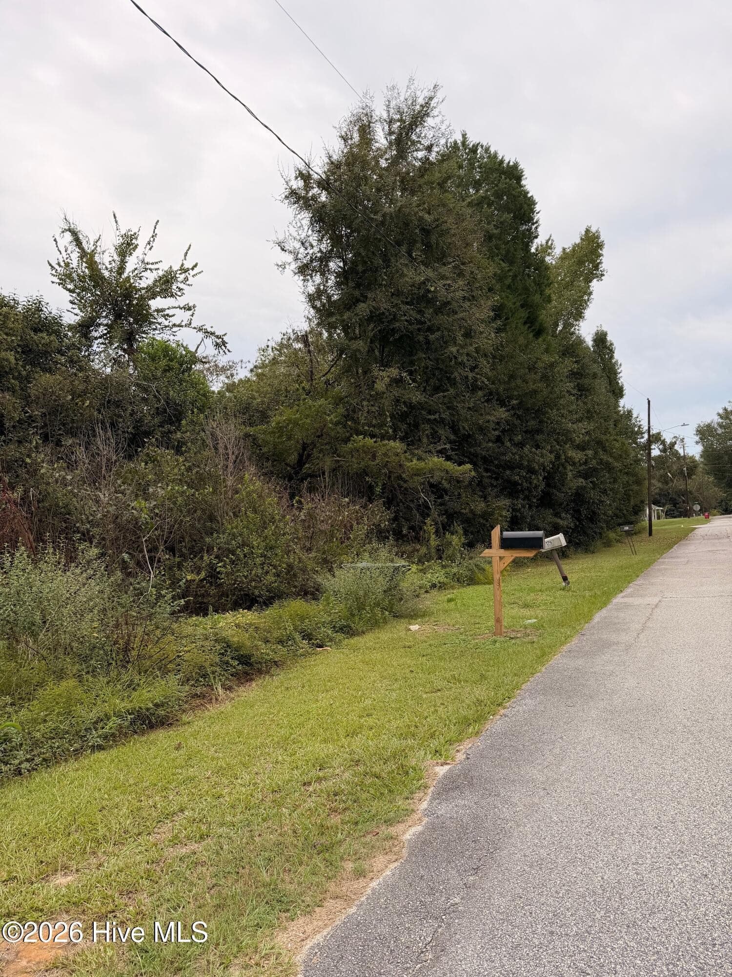 Residential Lot at 0 Mary Street, Midville, GA 30441, photo 3 of 4
