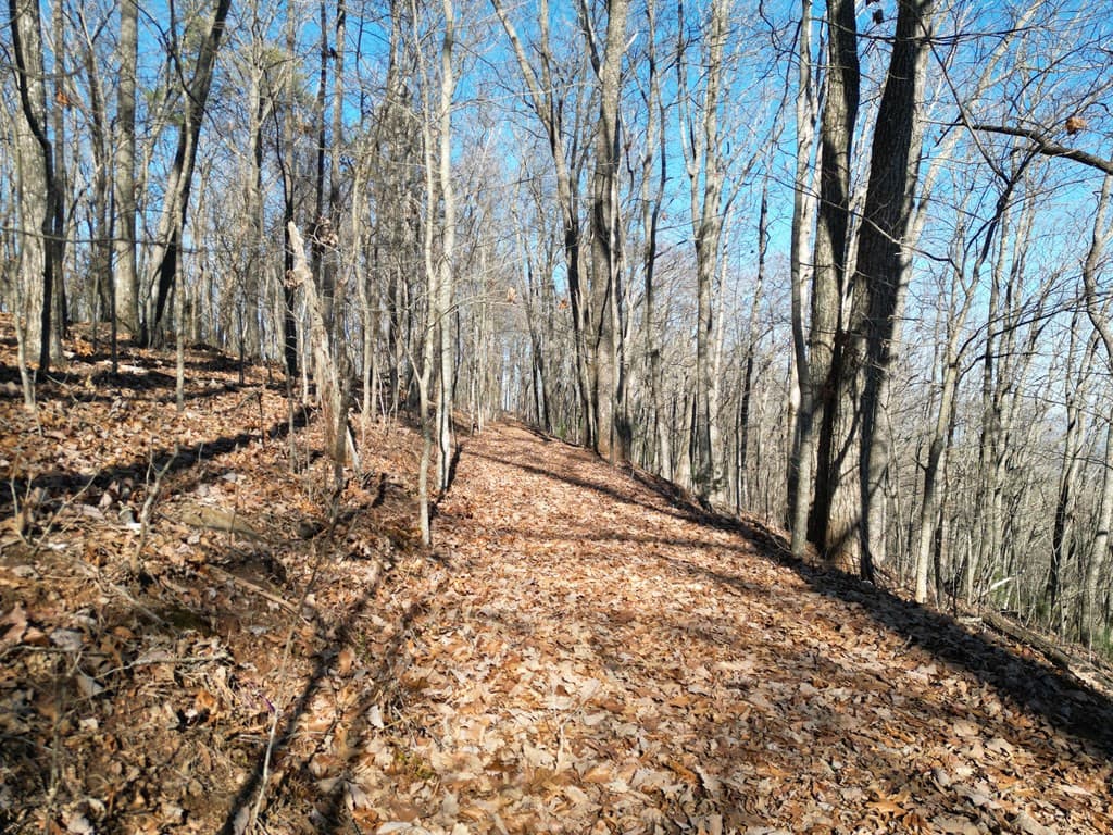 20.05 Ac 5-23 Treehouse Trail, Murphy, NC 28906