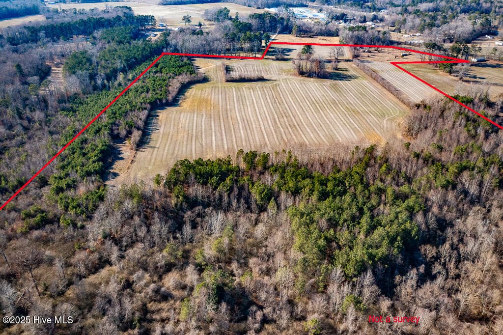 Undeveloped at 203 Lovick Lane, Washington, NC 27889, photo 6 of 7