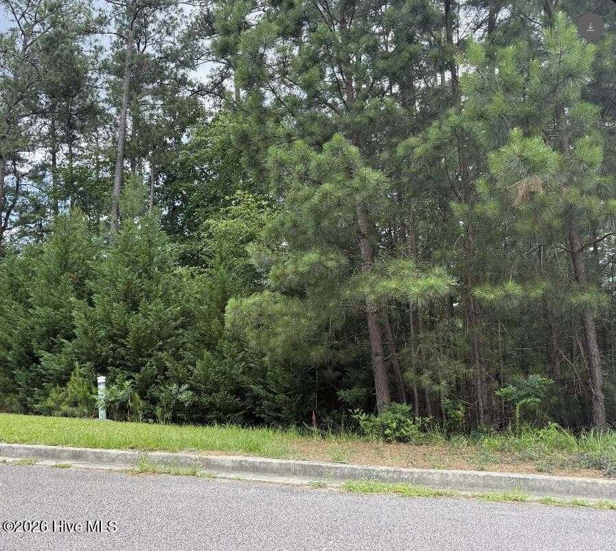 Residential Lot at 3946 Carolyn Street, Augusta, GA 30909, photo 3 of 4