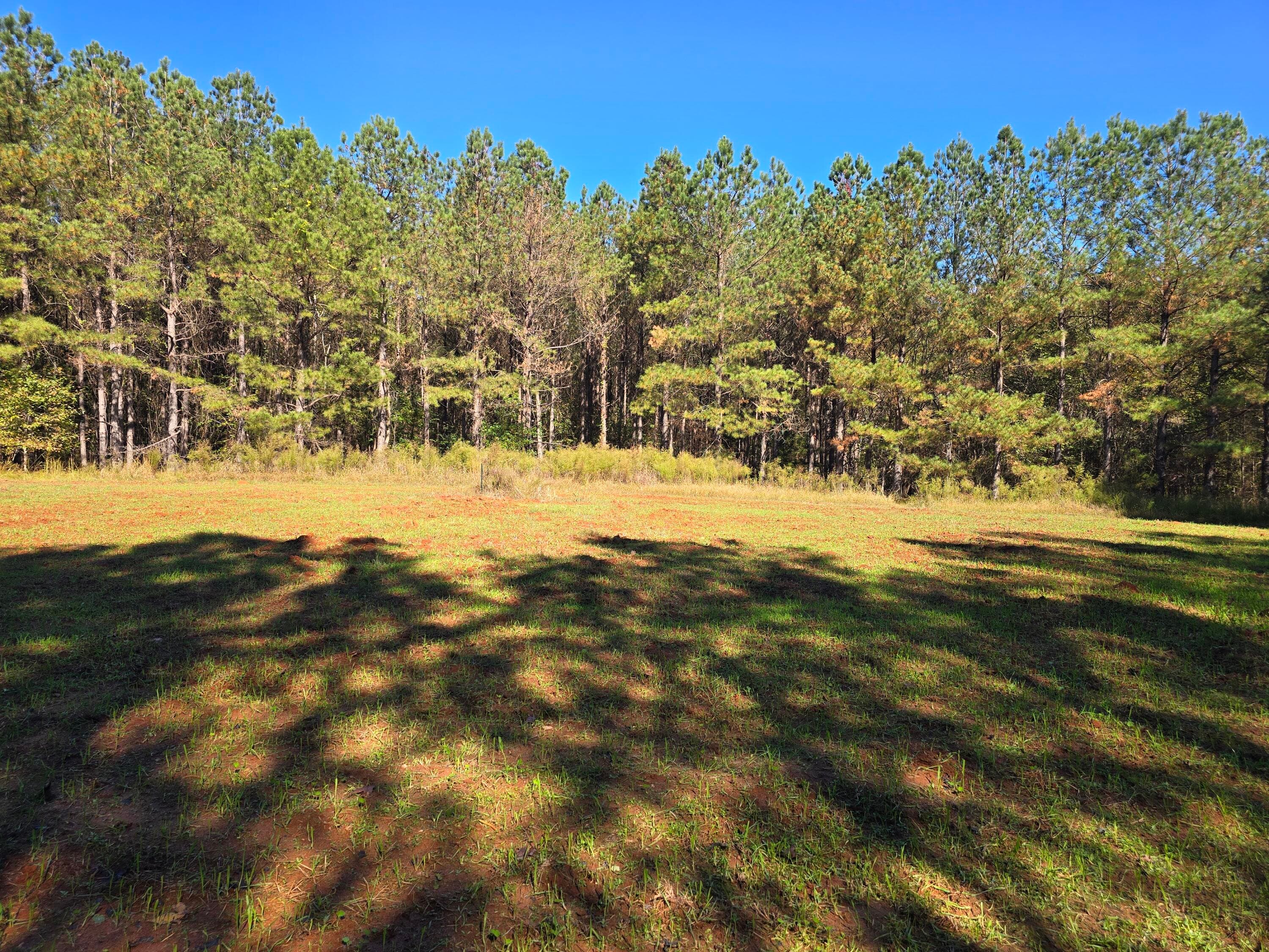 Mixed Use at 7501 Rainey Morris Road, Appling, GA 30802, photo 38 of 47