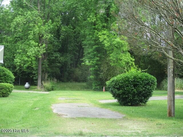 Wooded at 0 1 Pugh Road, Clinton, NC 28328, photo 2 of 4