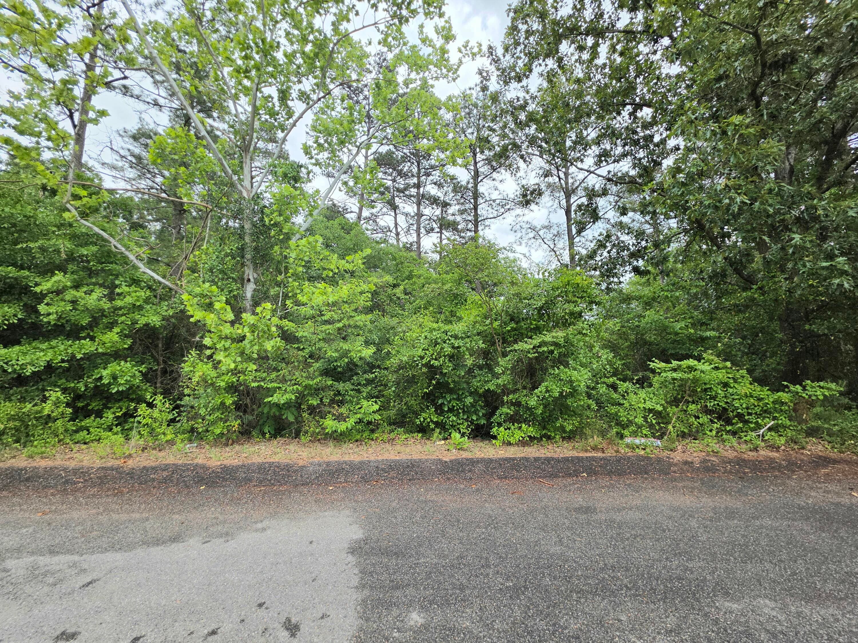 Residential Lot at 122 Coventry Circle, North Augusta, SC 29860, photo 3 of 5