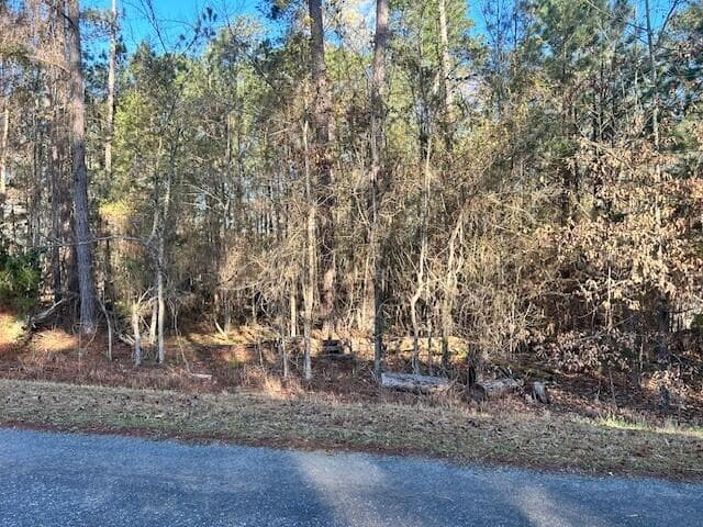 Residential Lot at 1a Hickory Knob, McCormick, SC 29835, photo 2 of 6