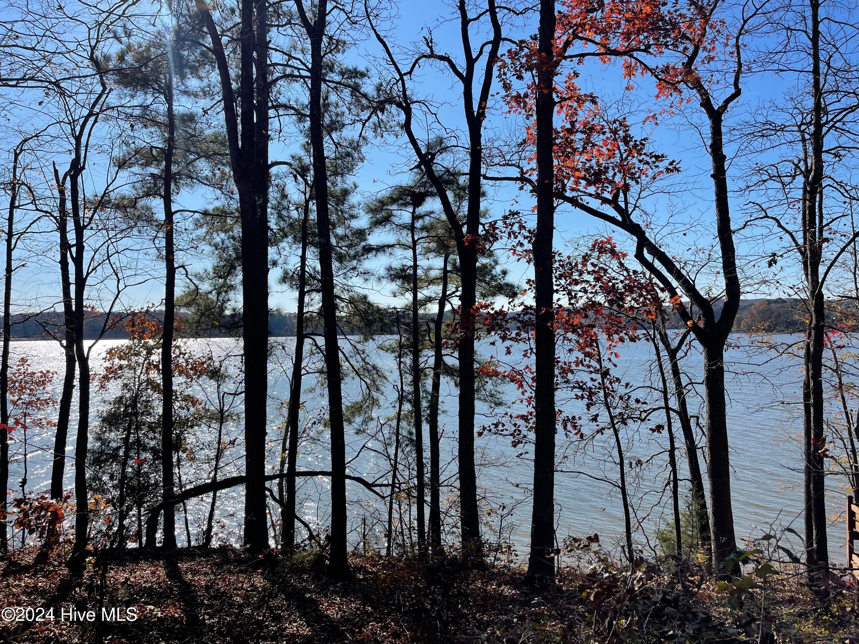 Residential Lot at 153 Vista Lane, Rockingham, NC 28379, photo 6 of 7