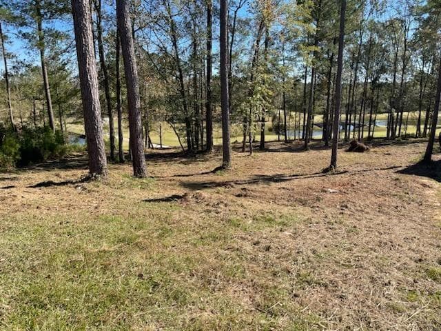 Residential Lot at Lot M-46 Mary Johnson's Court, North Augusta, SC 29860, photo 2 of 10