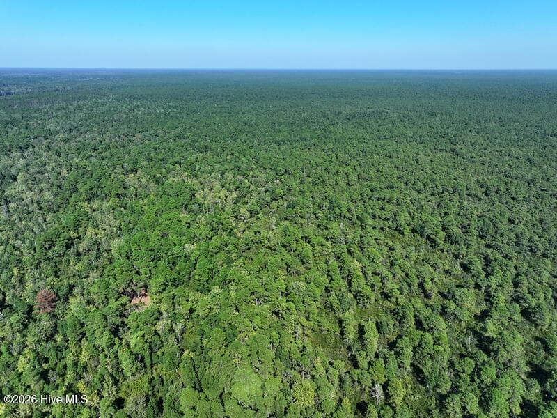 Recreation at 0 Angola Bay Road, Wallace, NC 28466, photo 10 of 16