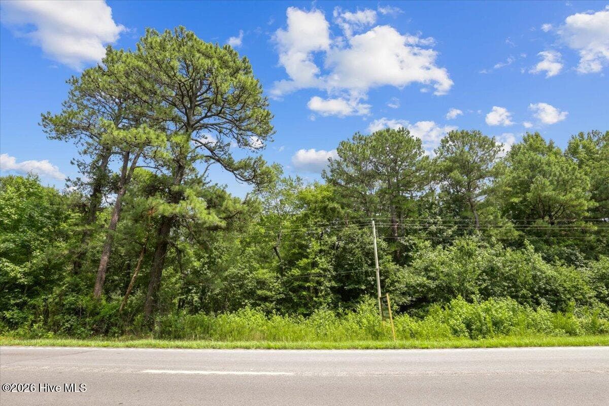 Wooded at 5203 Us-258, Kinston, NC 28504, photo 3 of 11