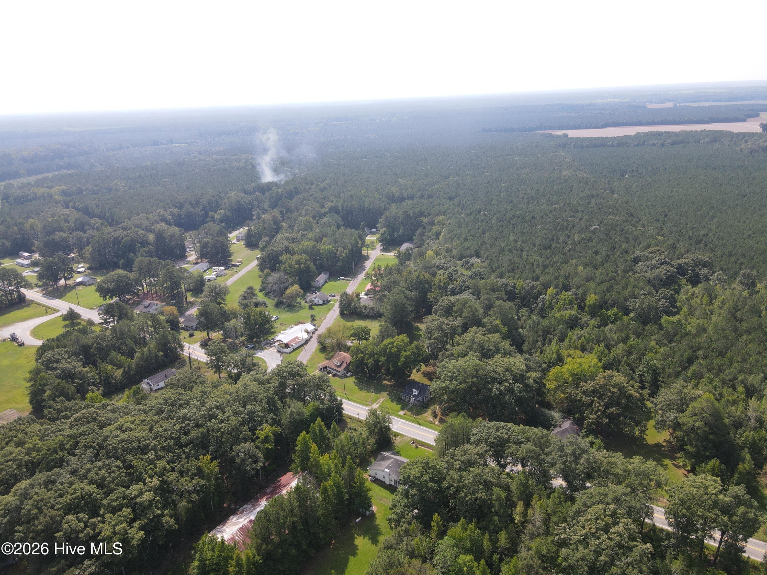 Wooded at Tbd Nc 305, Jackson, NC 27845, photo 9 of 9