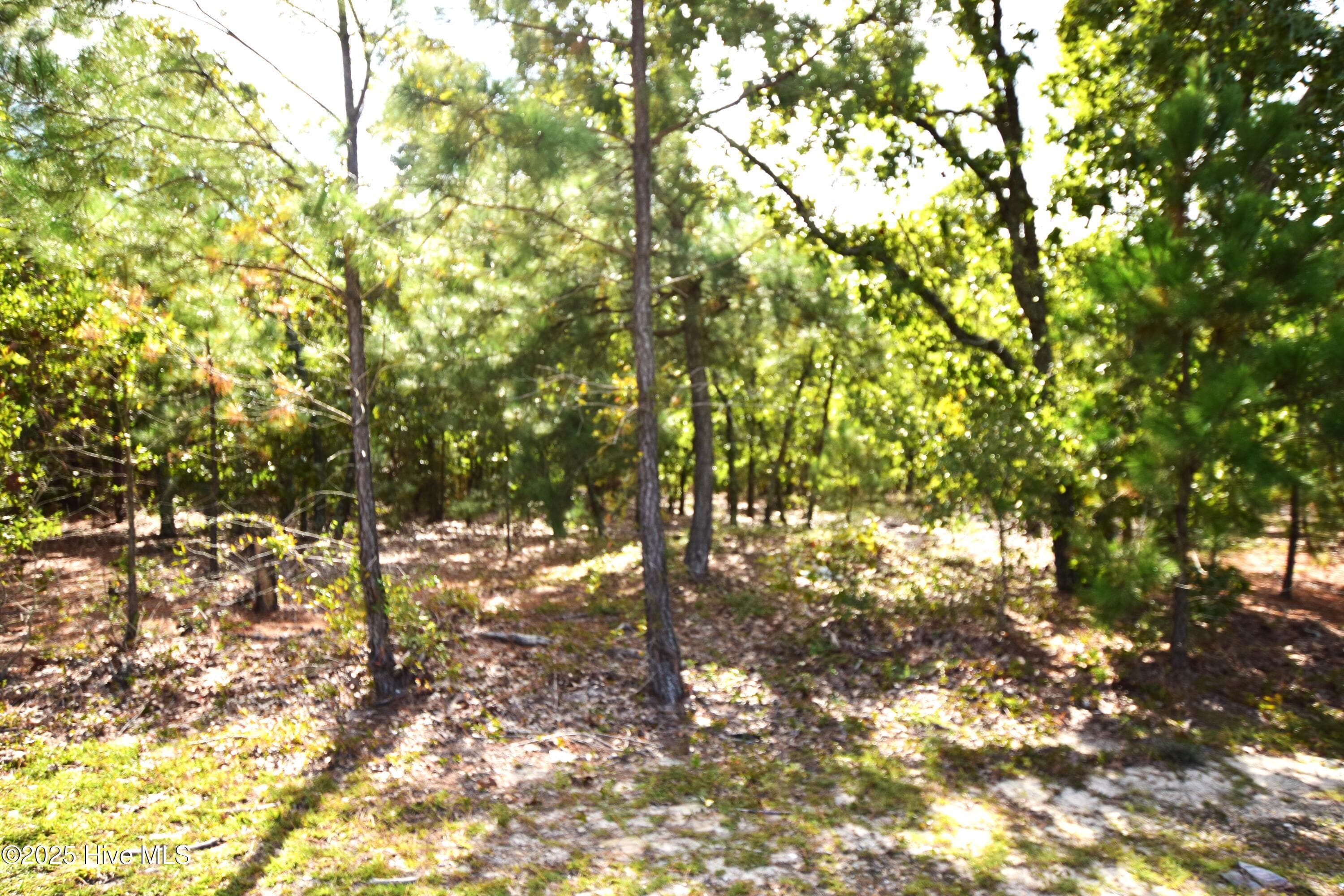 Wooded at 1035 Mill Road, Jackson Springs, NC 27281, photo 2 of 5