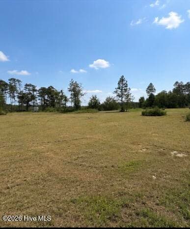 Mixed Use at 1087 Green Morgan Sch Road, Springfield, GA 31329, photo 2 of 10