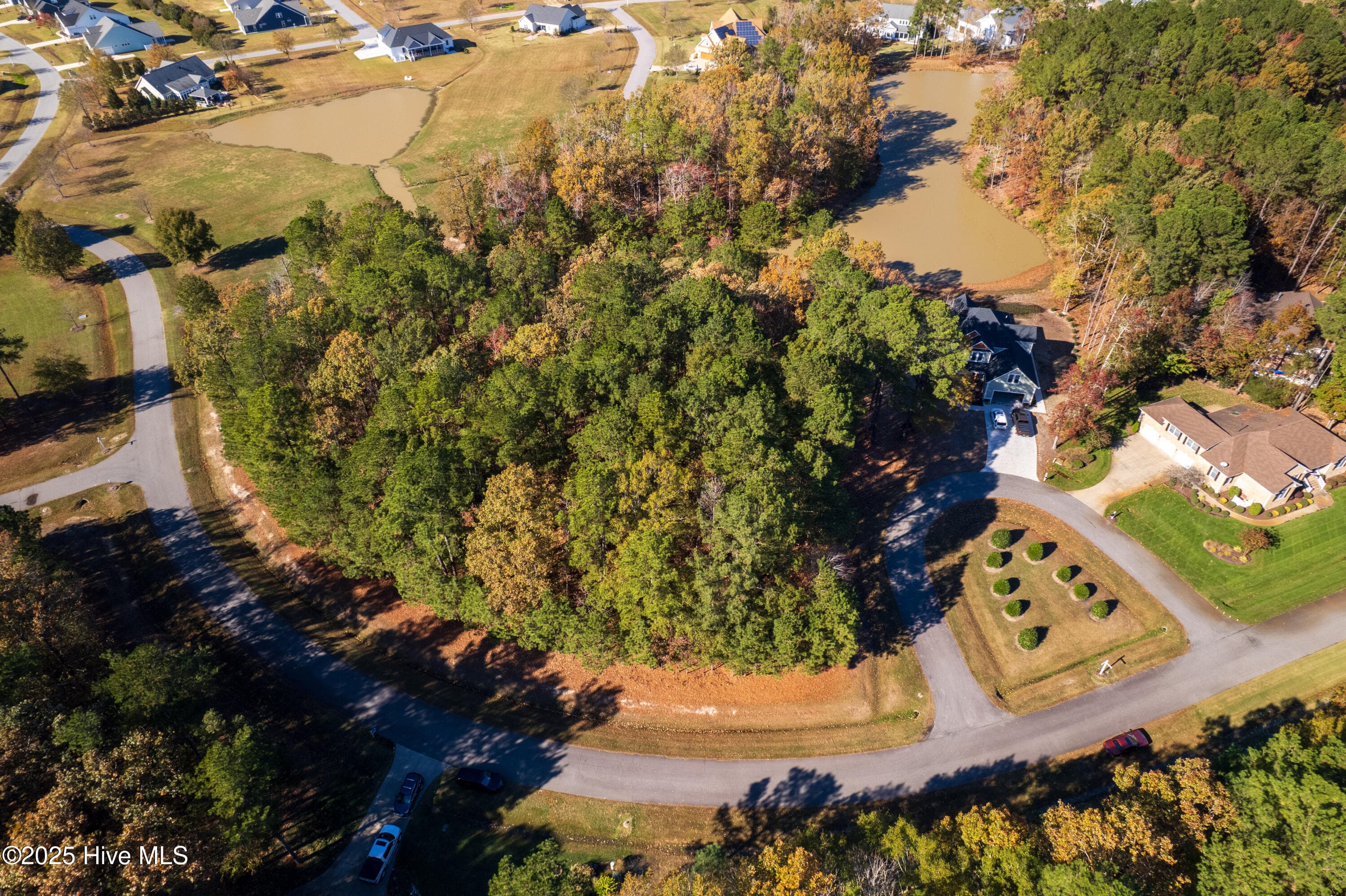 Wooded at 65 JJ65 Standard Bred Way, Hertford, NC 27944, photo 8 of 8