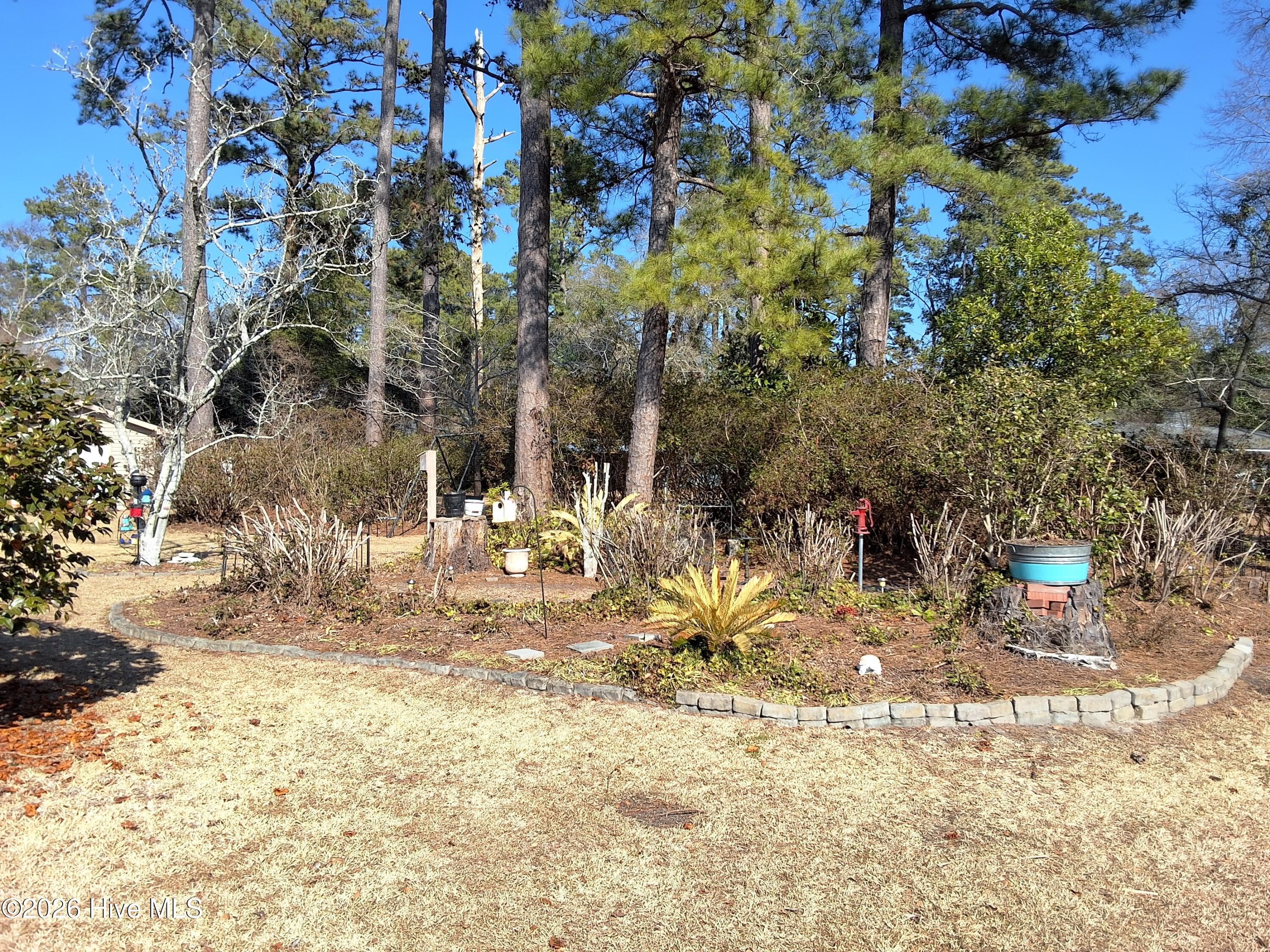Single Family Residence at 503 Anderson Street, Tabor City, NC 28463, photo 97 of 101