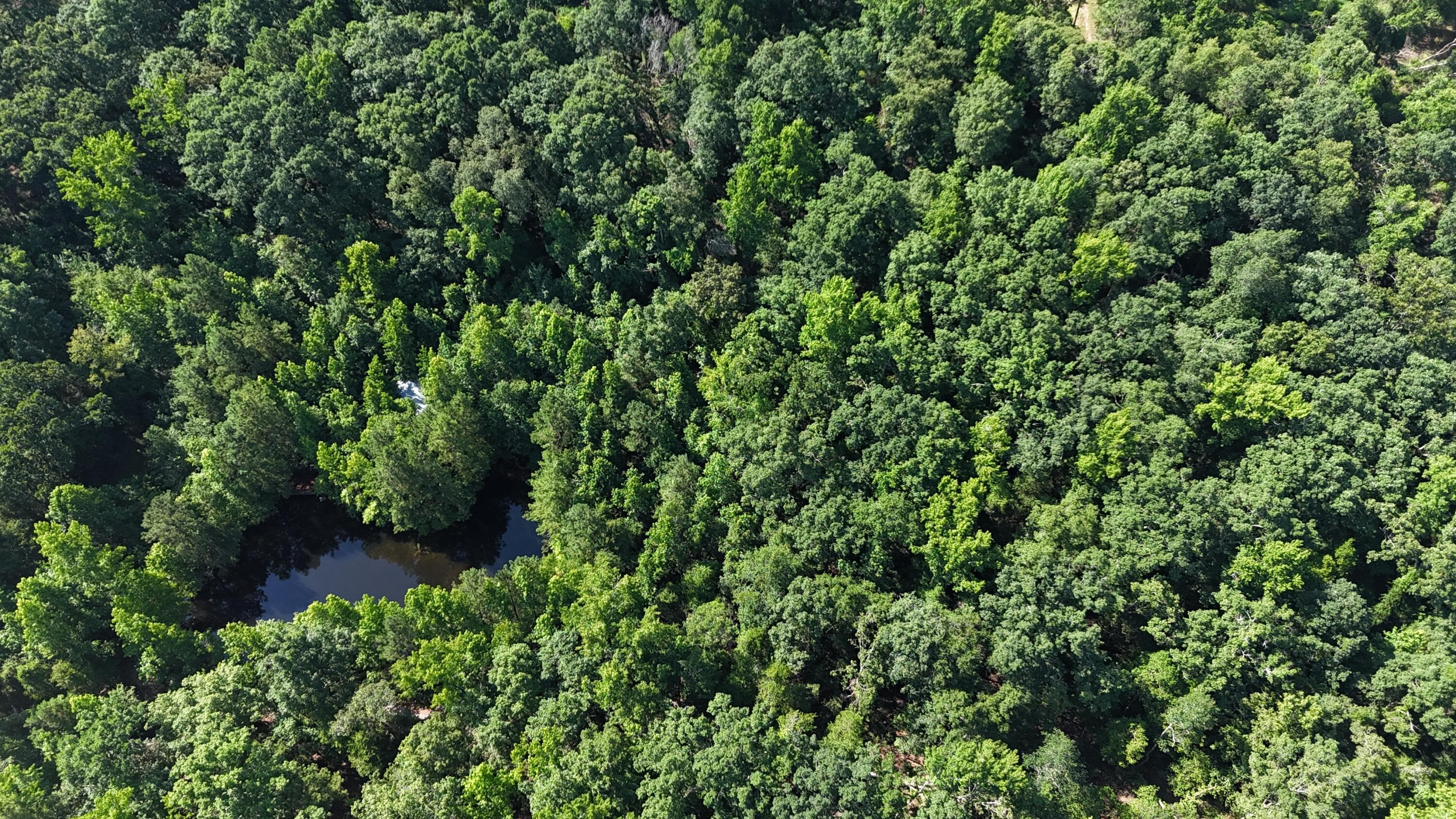 Undeveloped at 2031 Mcdade Road, Hephzibah, GA 30815, photo 16 of 16