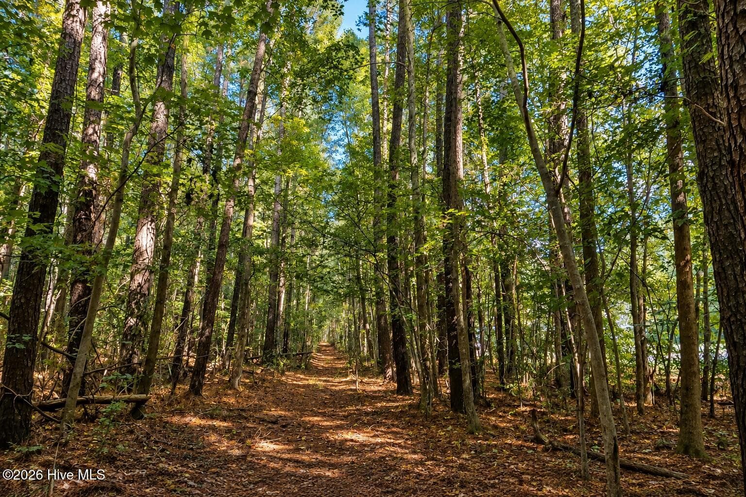 Undeveloped at 0.35 Ac Johnson Lane, Moyock, NC 27958, photo 8 of 10
