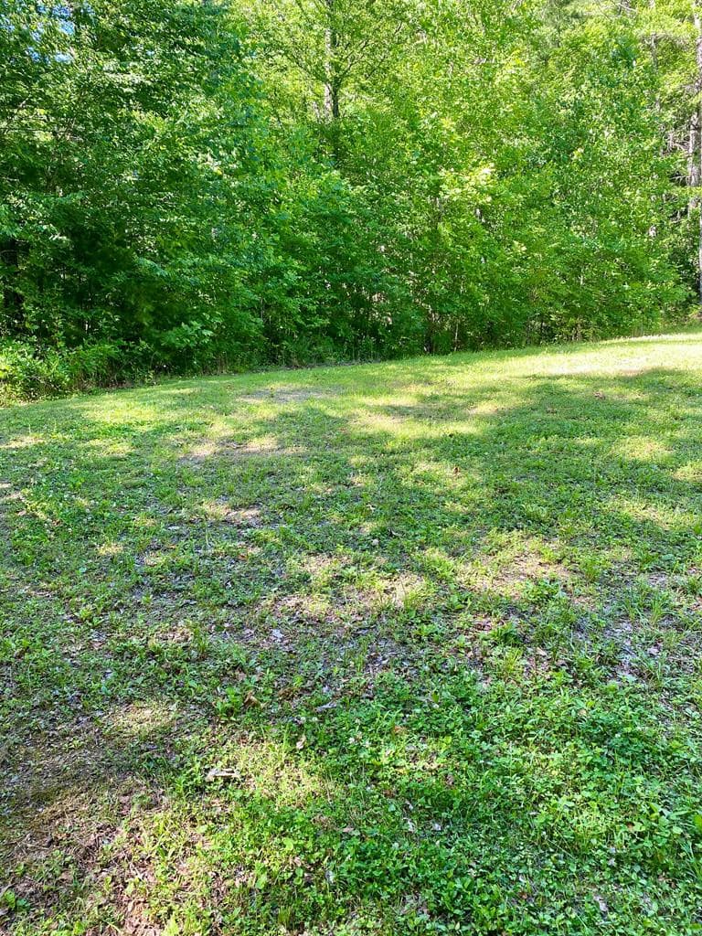 Land at 00 Deer Run, Robbinsville, NC 28771, photo 4 of 5