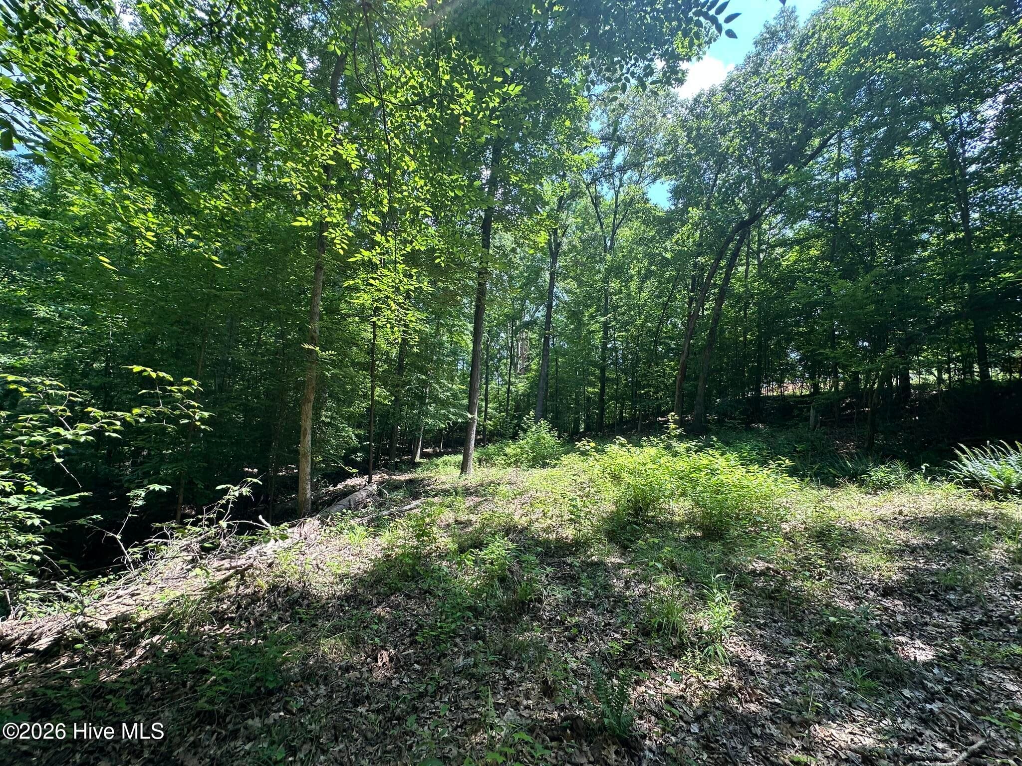 Previously cleared homesite at back of property - Lot 17 Lakeshore Estates Drive, Lincolnton, GA 30817
