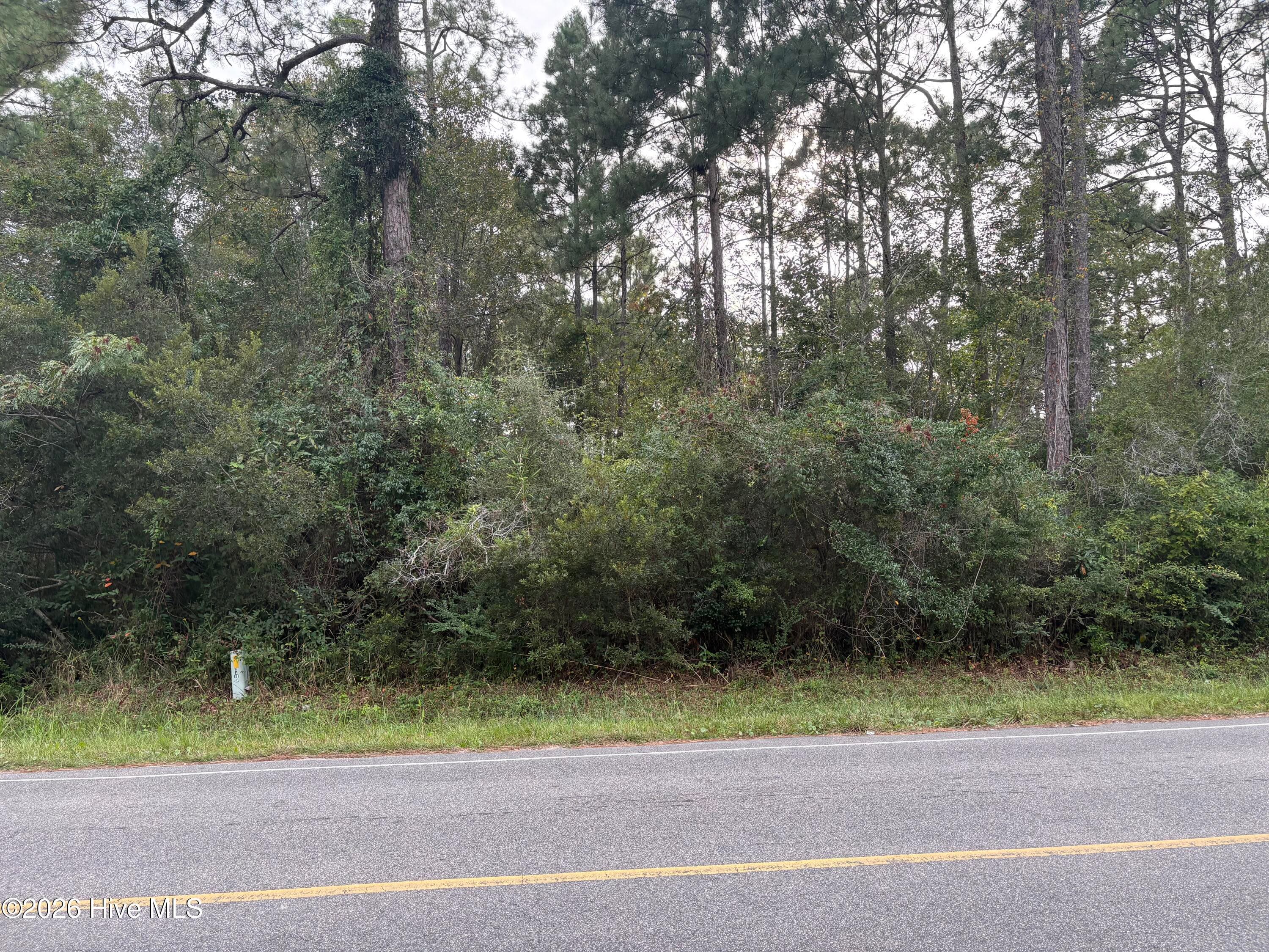 Wooded at L-80/81 80/81 Nassau Road, Boiling Spring Lakes, NC 28461, photo 7 of 11