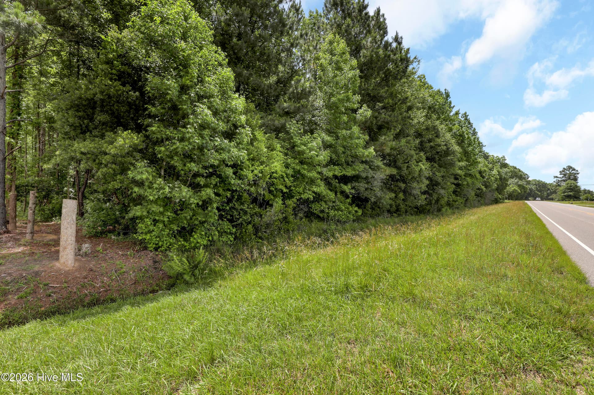Lot 6 Us Hwy 117 S, Burgaw, NC 28425