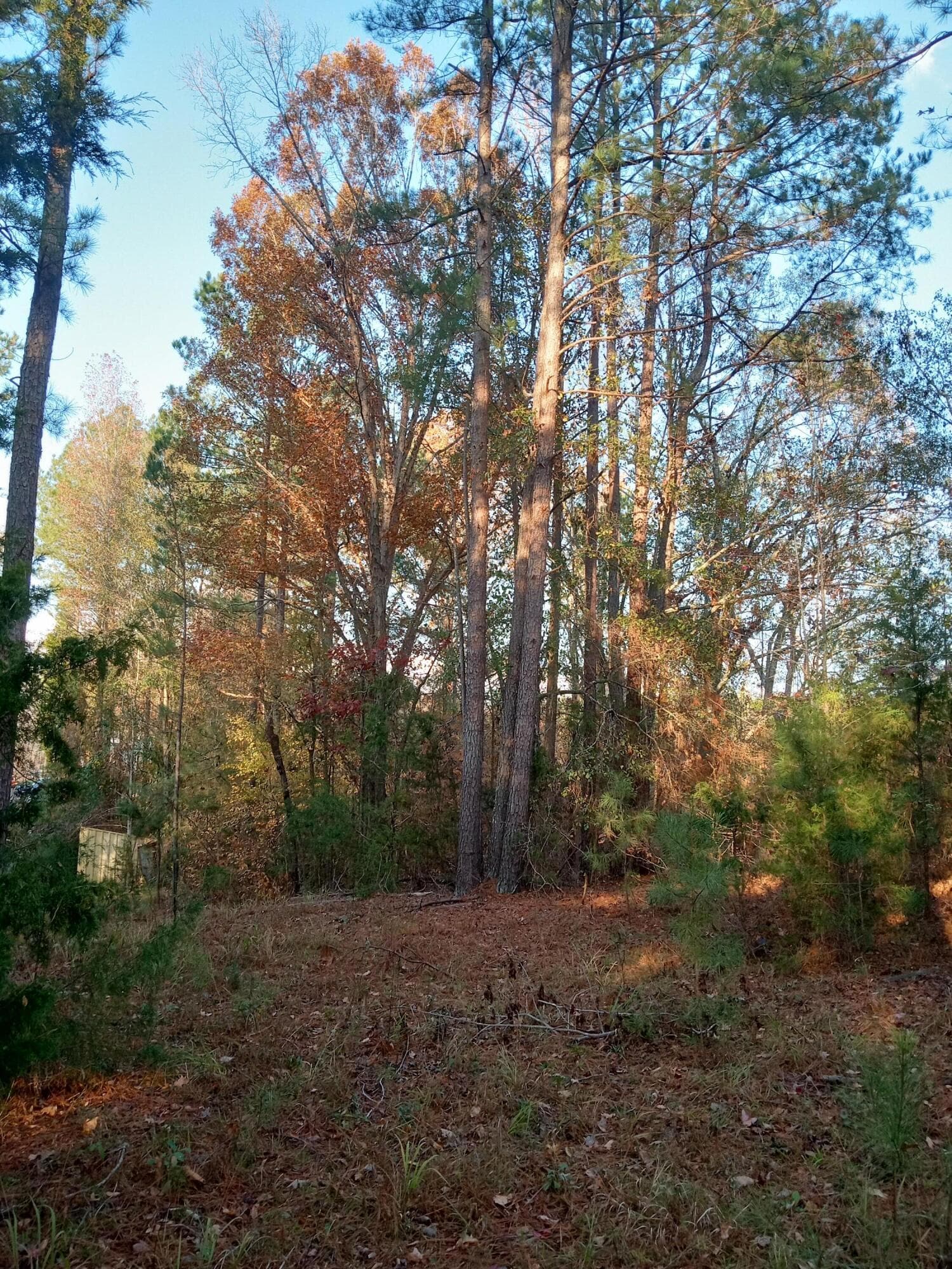 Residential Lot at 2722 Sc-23, Modoc, SC 29838, photo 48 of 62