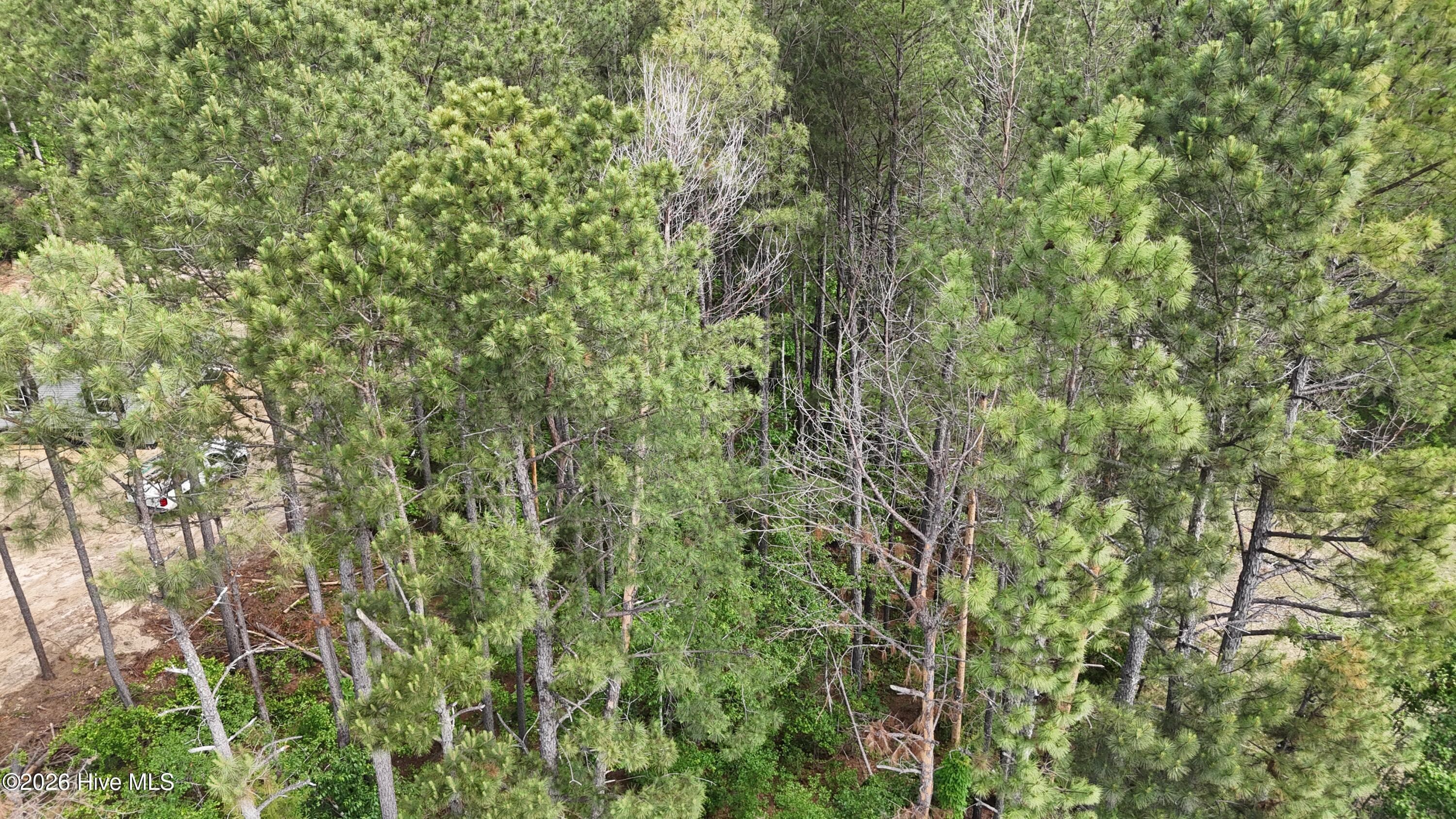 Residential Lot at 165 Wayne Lane, Hephzibah, GA 30815, photo 6 of 12