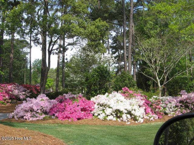 Breathtaking landscaping - 526 57 Lindgrove Place SW, Ocean Isle Beach, NC 28469