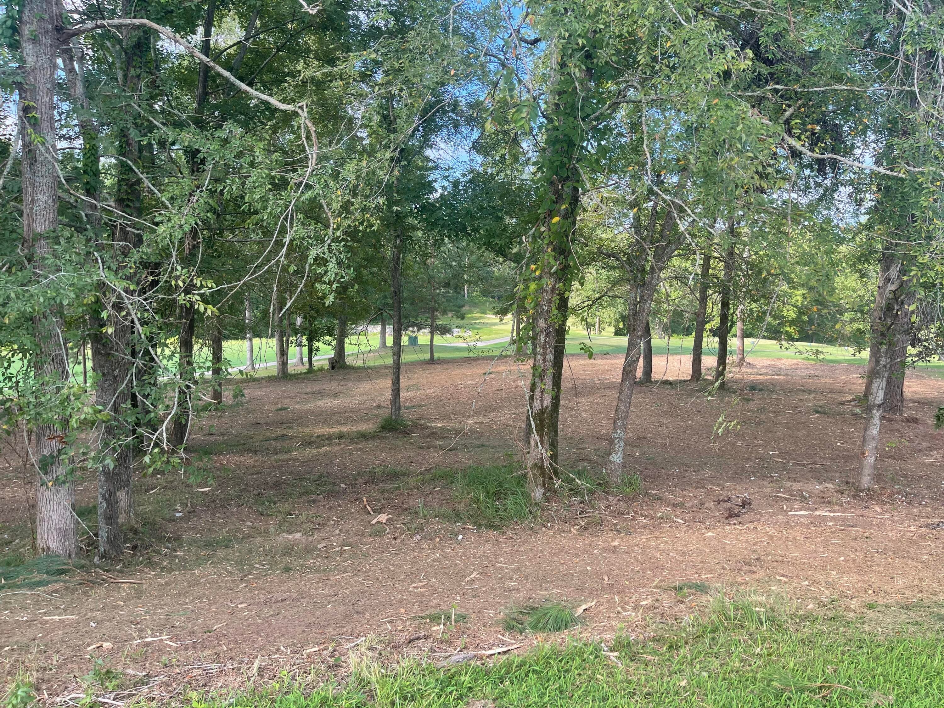 Residential Lot at Lot G-39 John Fox's Run, North Augusta, SC 29860, photo 3 of 5