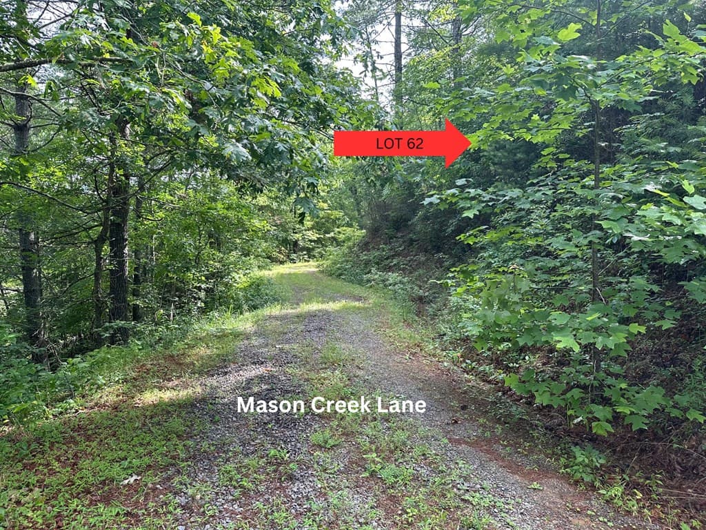 Residential Lot at Lot 62 & 62&A Creek Lot A, Stone Ridge Falls, Murphy, NC 28906, photo 7 of 16