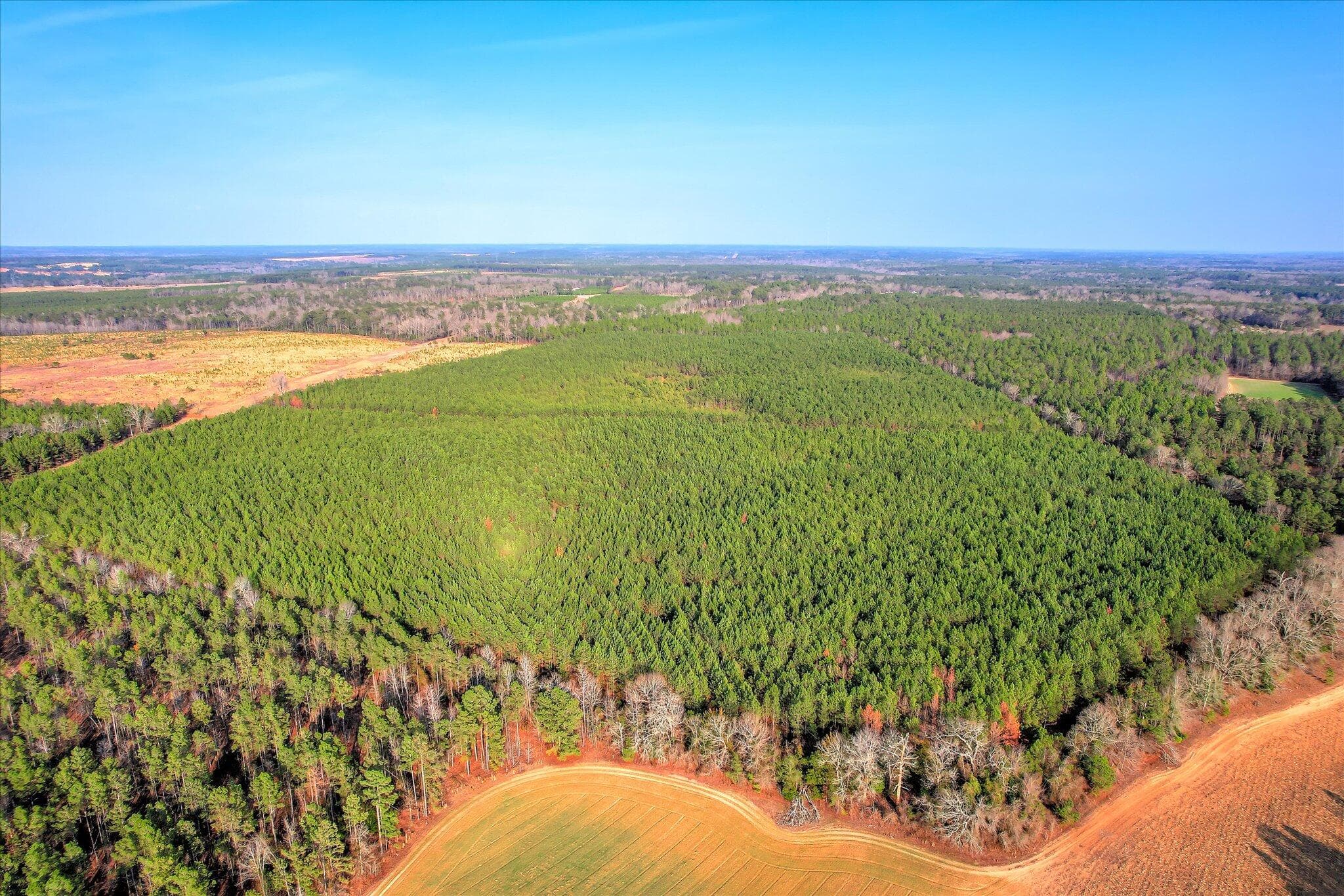 Mixed Use at 0 Old Thomson Road, Wrens, GA 30833, photo 14 of 17