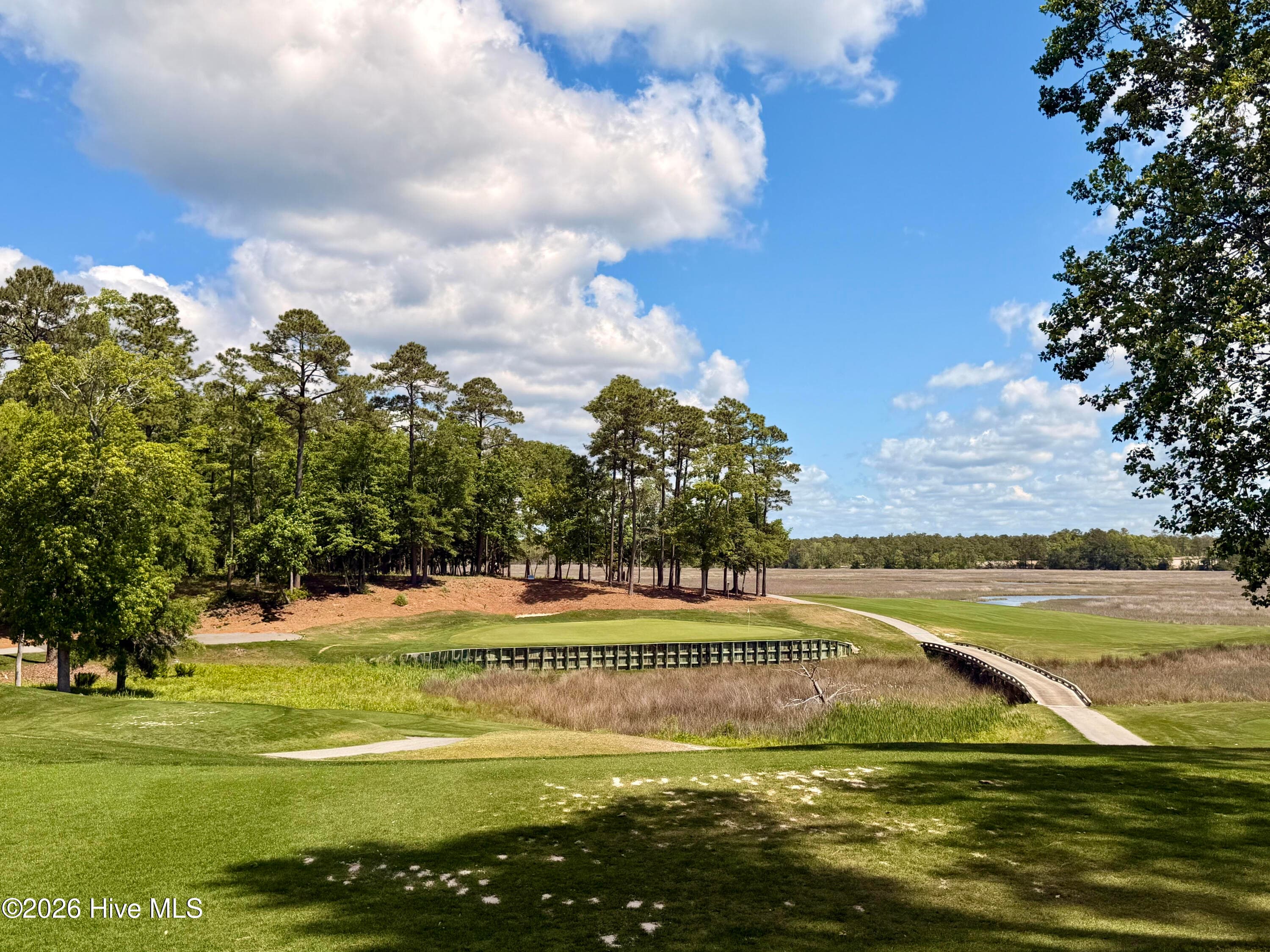 Undeveloped at 2054 2 Arnold Palmer Drive, Shallotte, NC 28470, photo 13 of 15
