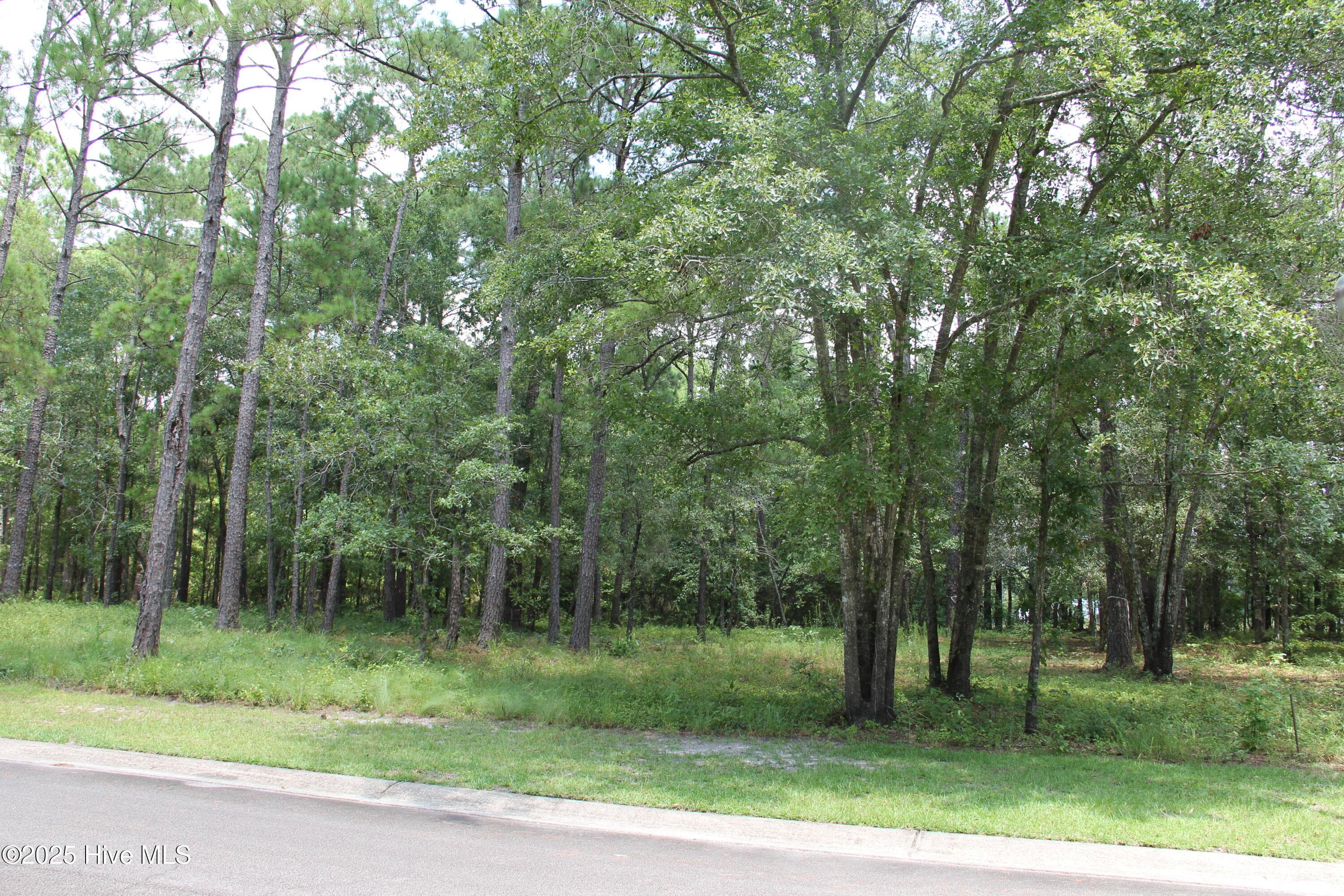 469 30 Shiloh Lane SE, Bolivia, NC 28422
