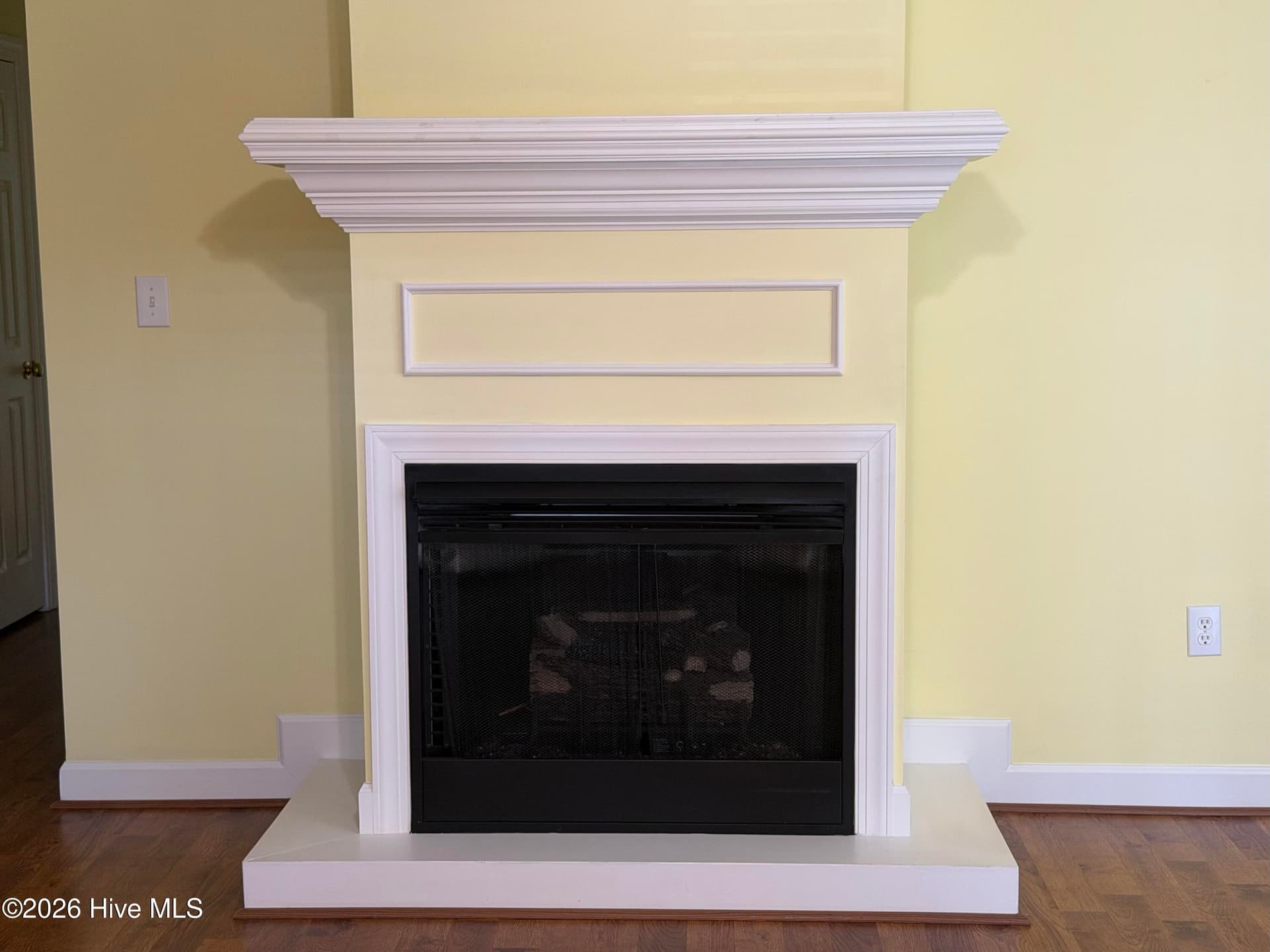 Fireplace/Gas logs - 2059 Briarwood Drive, Kinston, NC 28501