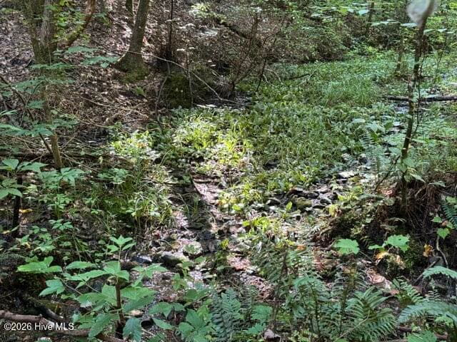 Residential Lot at 5 Tyler Lane, Marble, NC 28905, photo 17 of 28