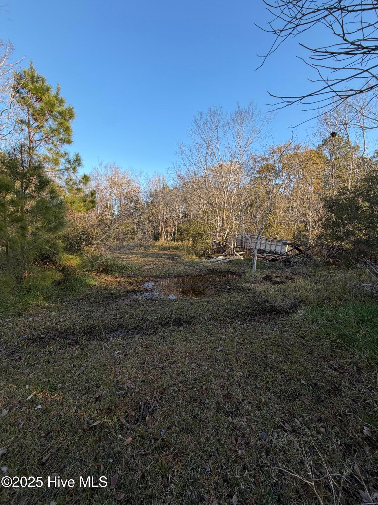 Wooded at 0 Sr 1730 Old Pamlico Beach Road West, Belhaven, NC 27810, photo 7 of 12